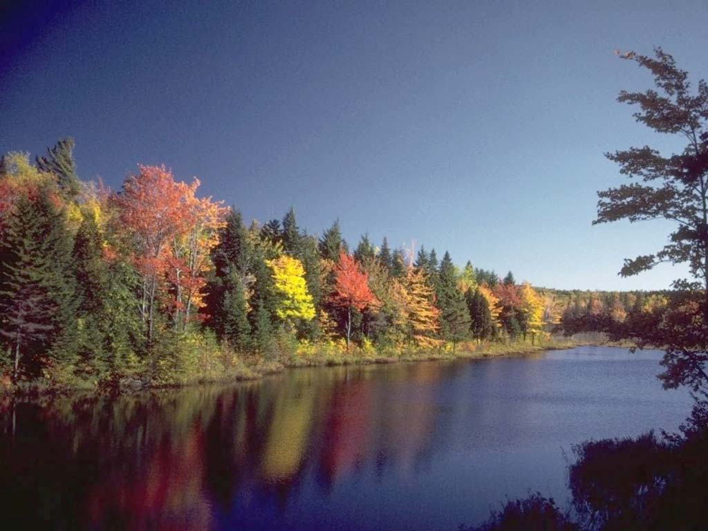 The Colors Of Autumn Wallpaper