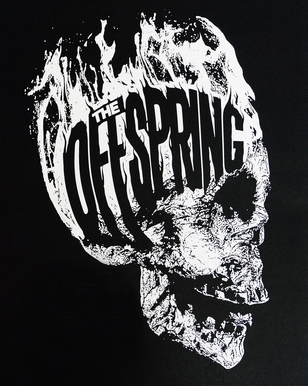 The Offspring Picha Poster HD Karatasi La Kupamba