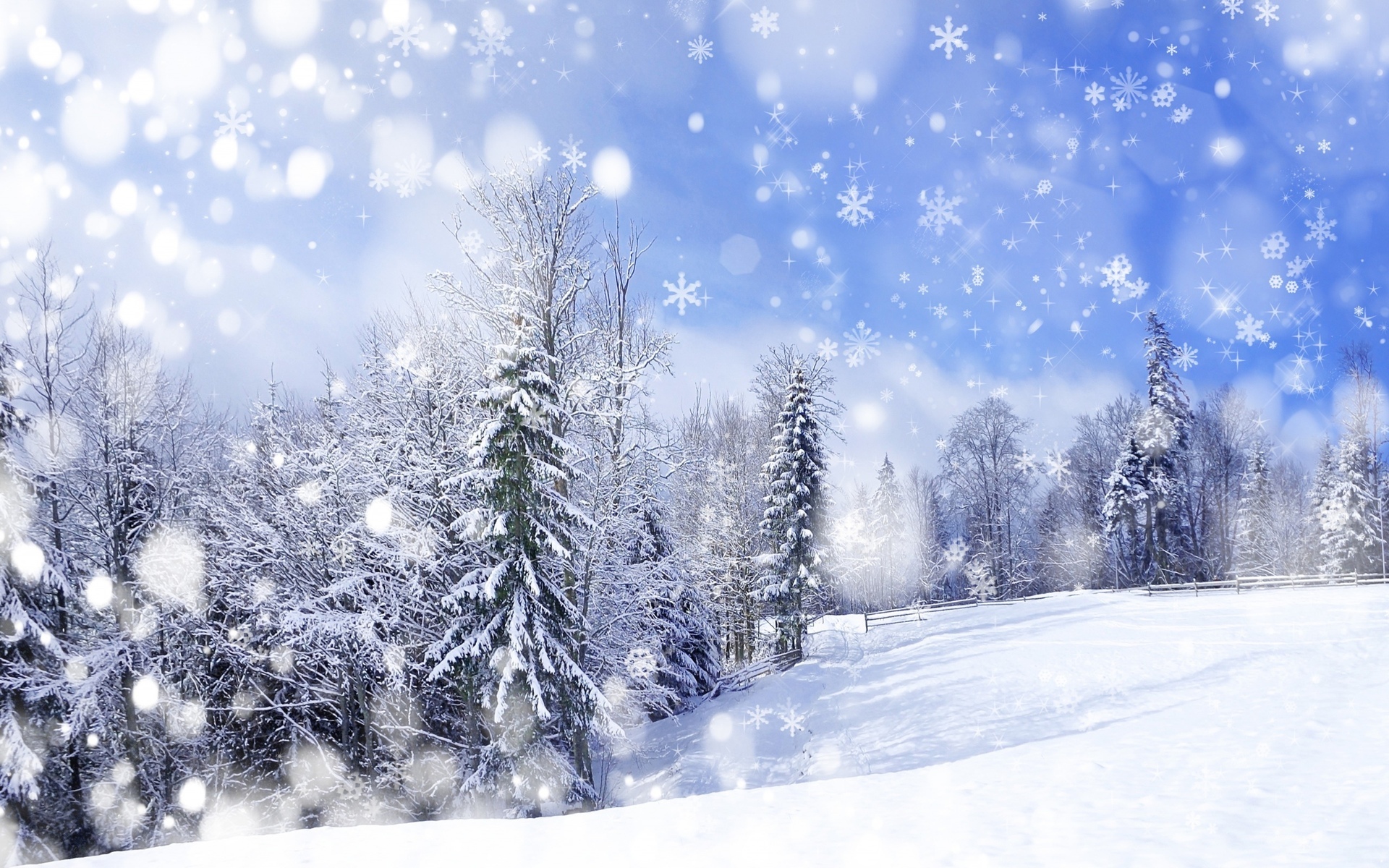 A picturesque winter wonderland scene with snow-covered trees and a clear blue sky, perfect for a winter wallpaper