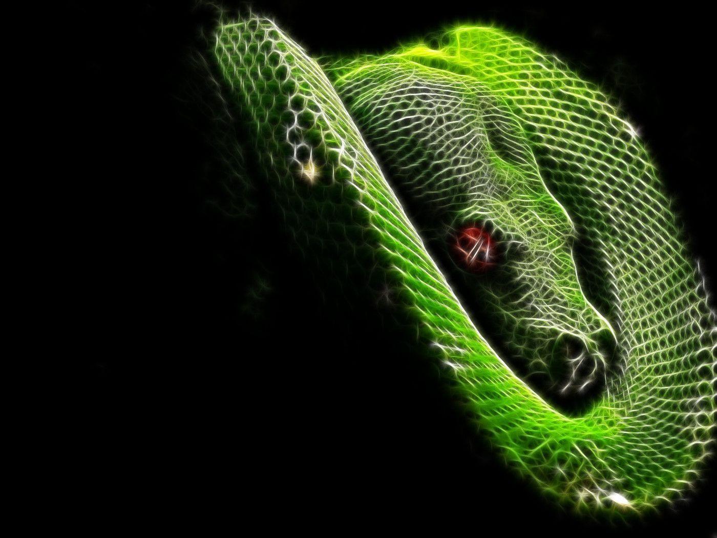 Cool Snake Background