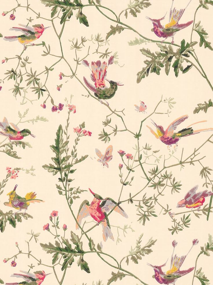 Cole Son Hummingbirds Wallpaper Ivory