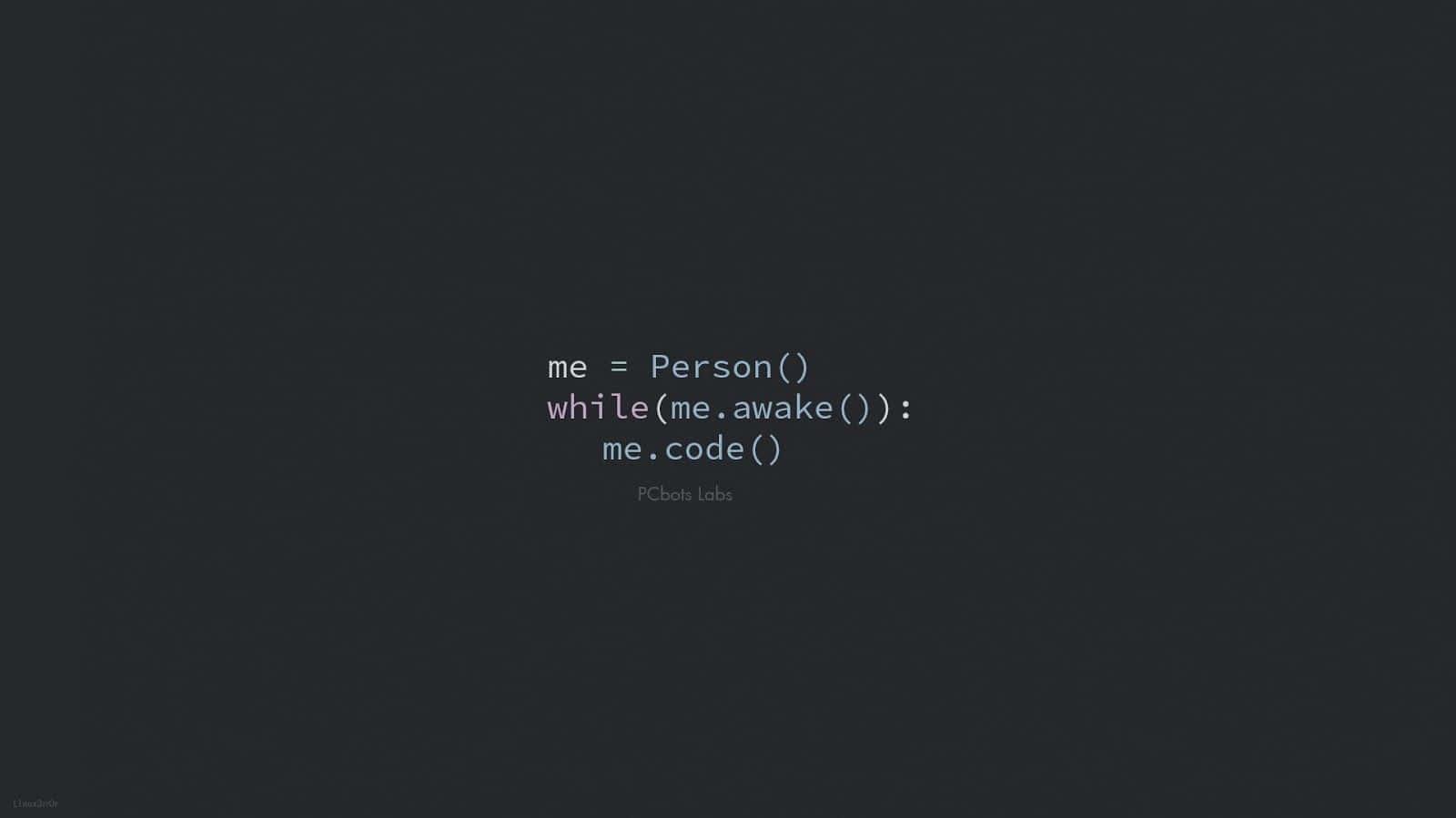 Funny Person Coding Wallpaper
