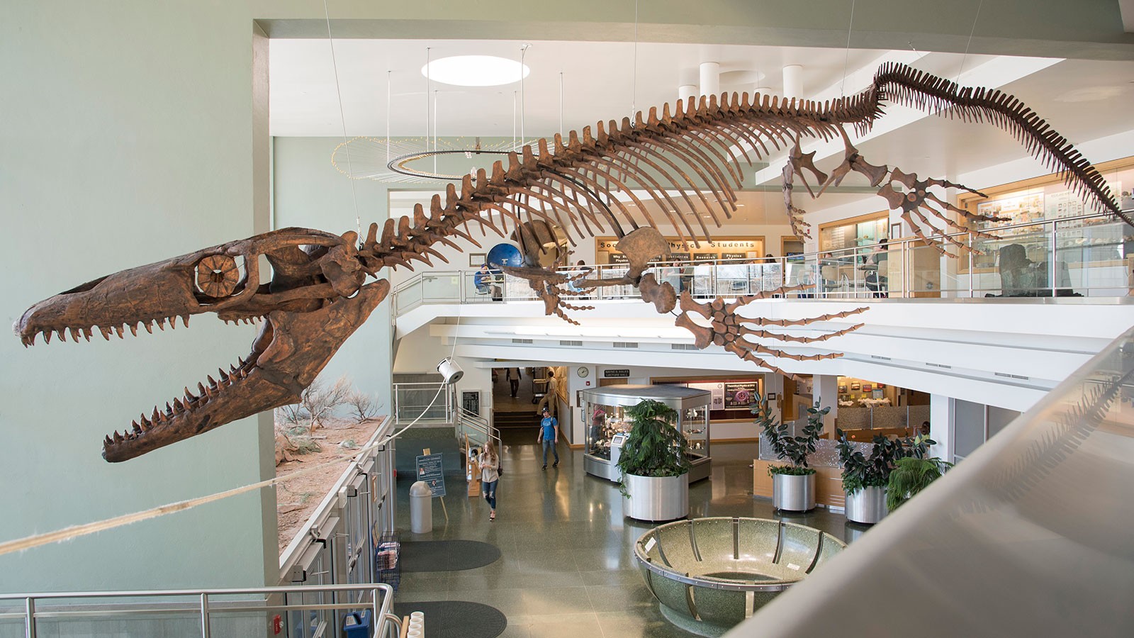 Jaws Of Death Usu Eastern Paleontologist Names Giant Prehistoric