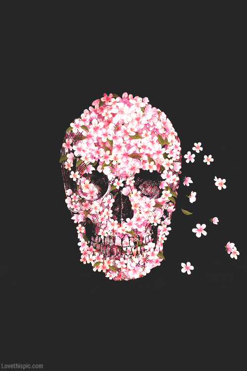Pink Blossom Skull Pictures Photos And Image For