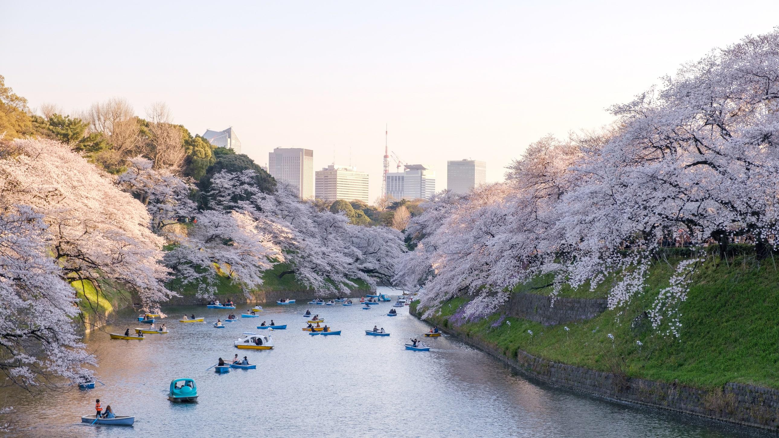 Best Things To Do In Tokyo Cond Nast Traveler