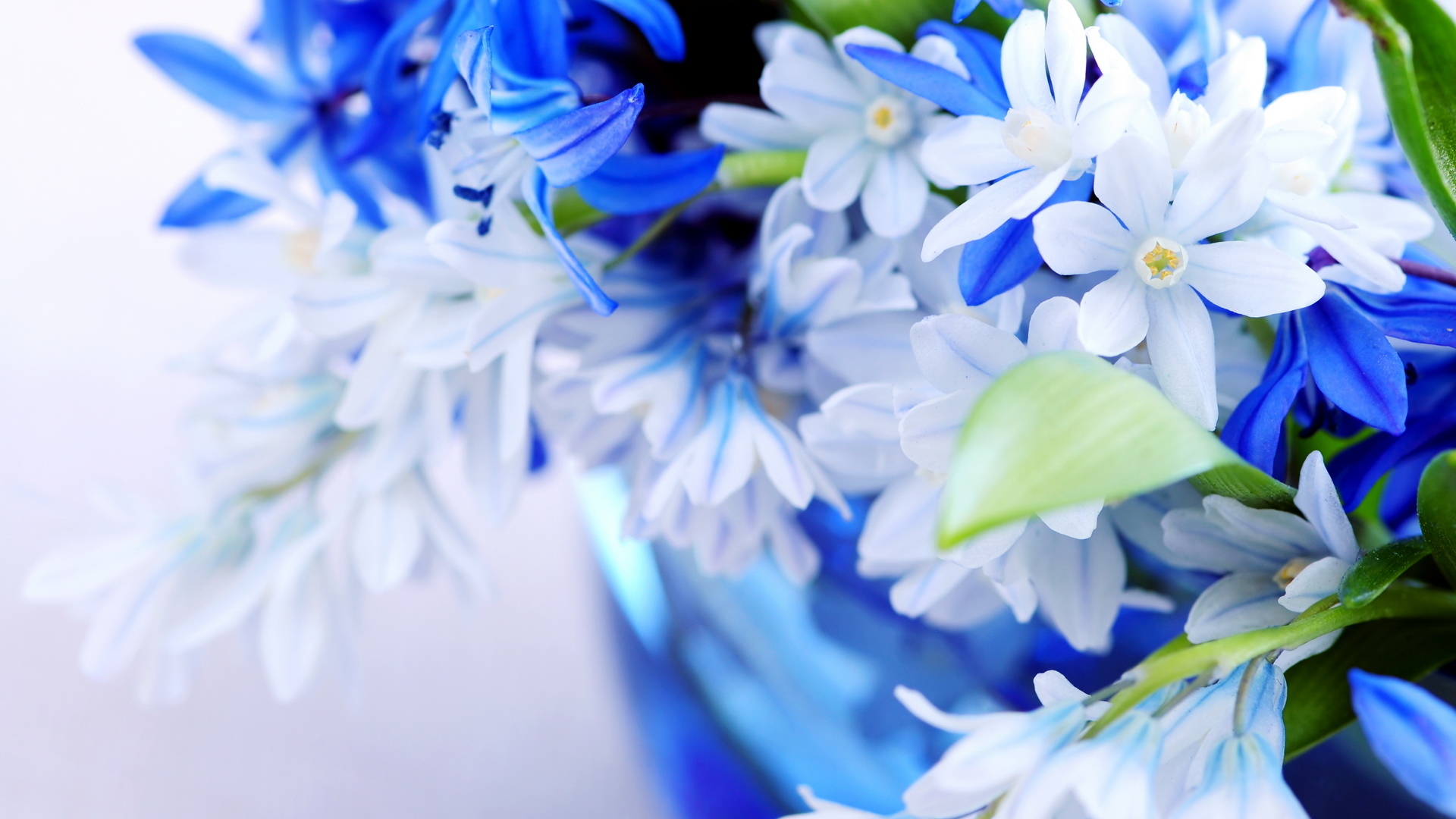 Desktop Wallpaper Flowers Full Size Hd - GAMBAR BUNGA