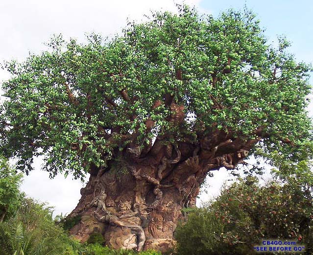 Disneys Tree Of Life Front