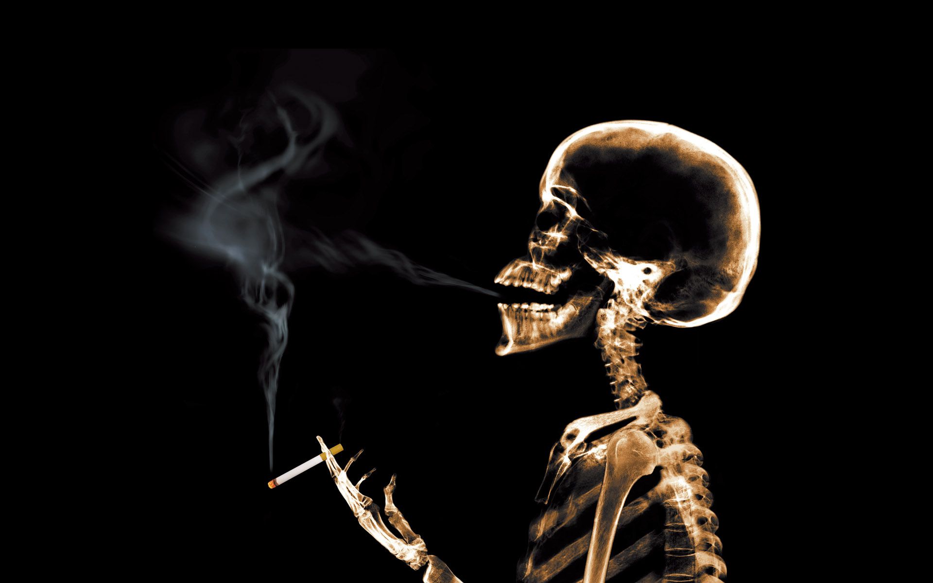 Human Smoking X Ray Best HD Wallpaper And Covers