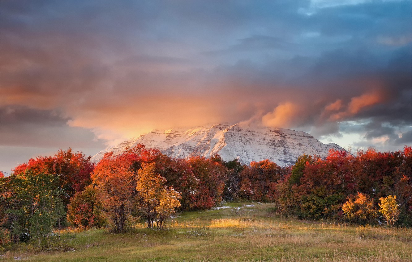 Wallpaper Autumn Mountain Utah Usa Timpanogos State