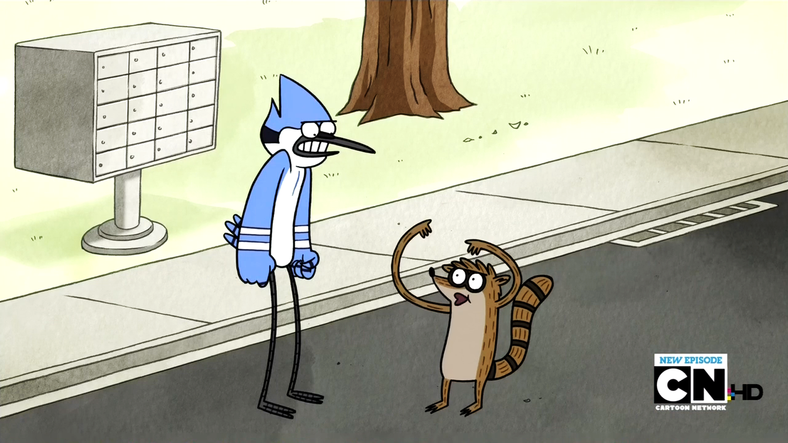 Regular Show Mordecai and Rigby HD Cartoon Wallpaper