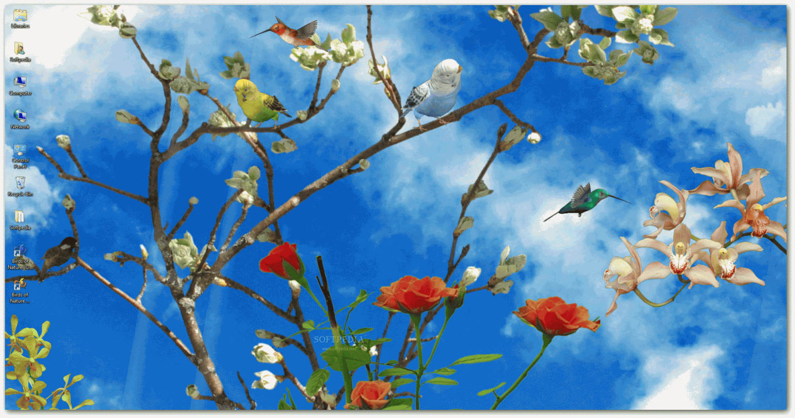 of Nature 3D   This is how the Birds of Nature 3D animated wallpaper