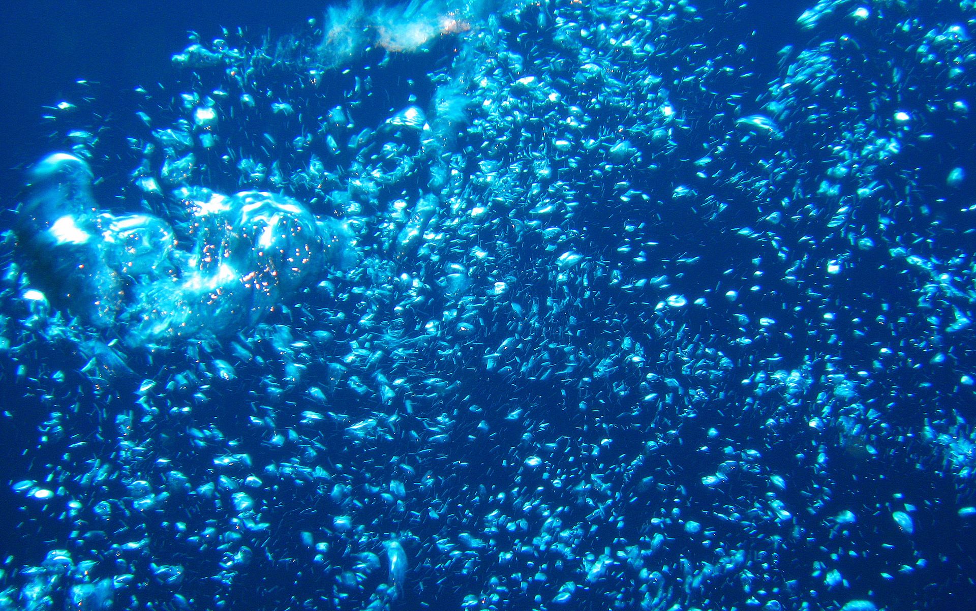 Underwater Bubble Wallpaper Bubbles