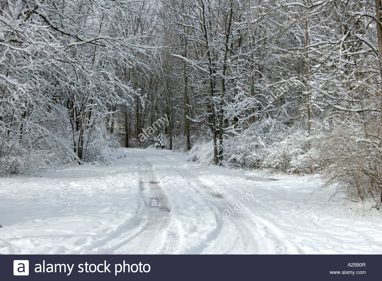 Winter Scene Of Driveway Leading To Home In The Background Stock