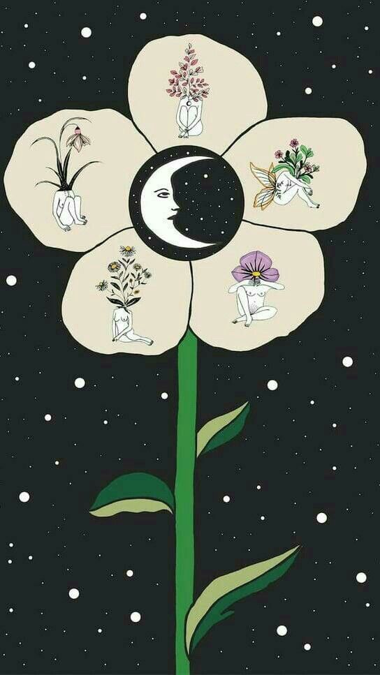 Illustration Of Moon Flower Life Design Minimalist