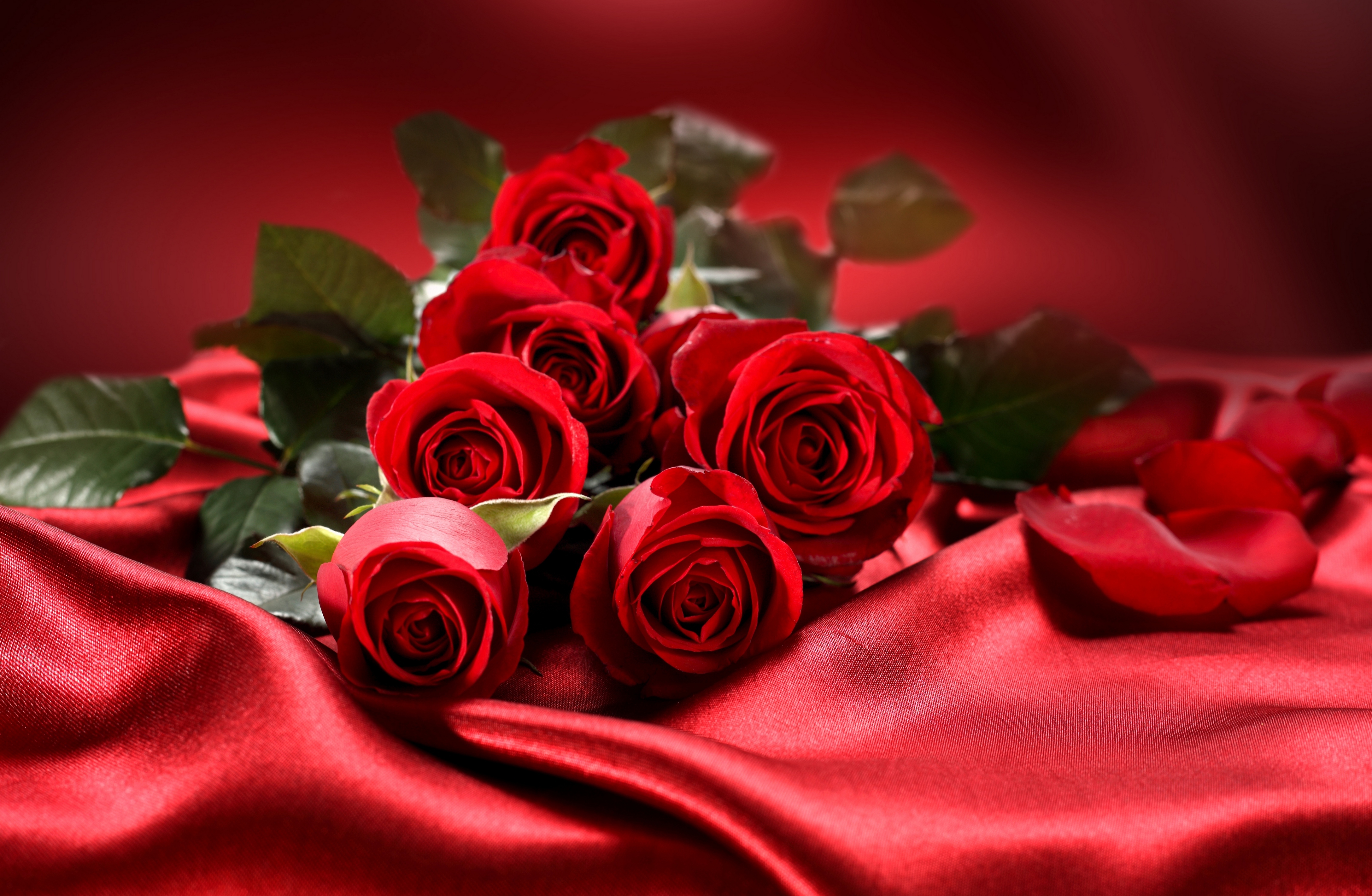 Free Download Valentines Day Flowers Wallpapers 4350x2840 For Your Desktop Mobile Tablet Explore 48 Valentine Flowers Wallpaper Heart Flower Wallpaper Valentine Roses Wallpaper