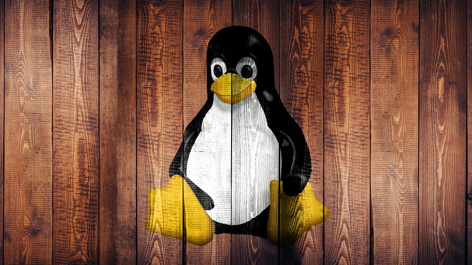 Linux Laptop Screen Wallpaper Wood Penguin Background