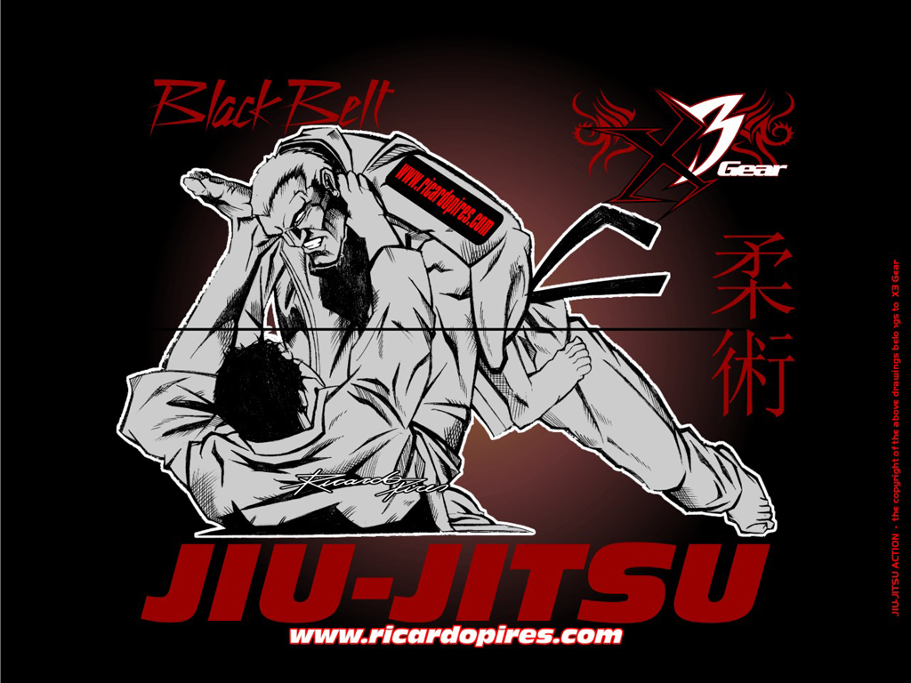 Jiu Jitsu Wallpaper Picswallpaper