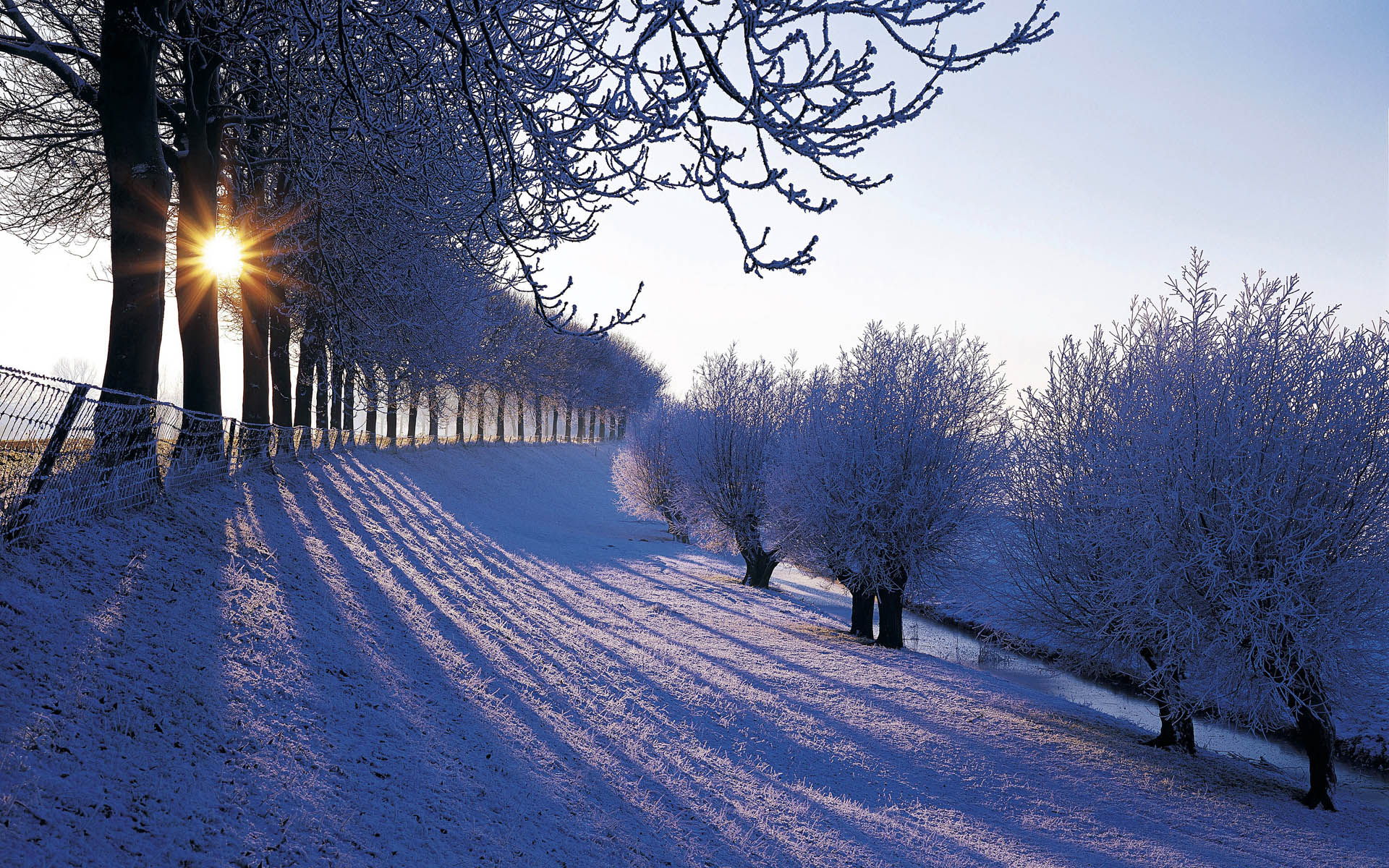 Winter sunrise over a snow-covered landscape with frost-covered trees and long shadows