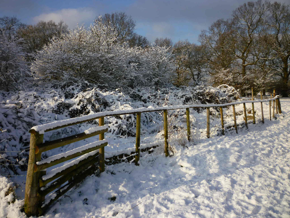 Country Snow Scenes For