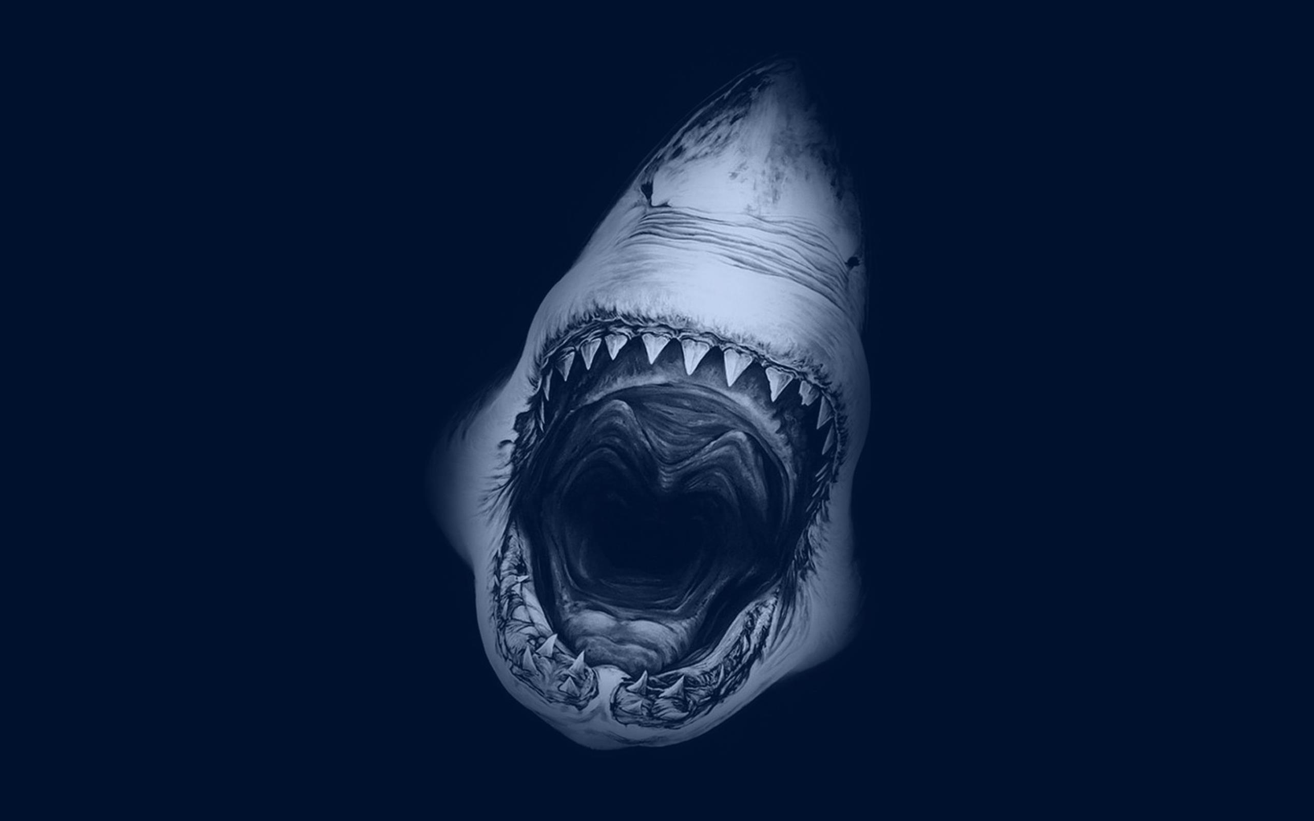 Desktop Shark HD Wallpaper
