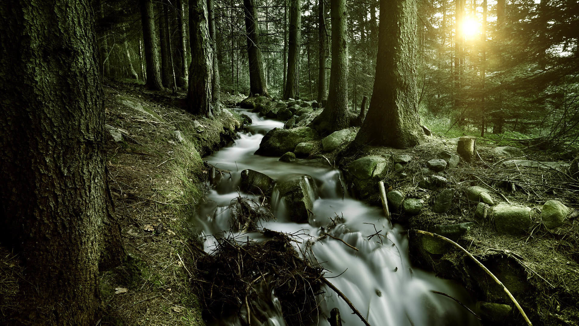 Full HD Wallpaper