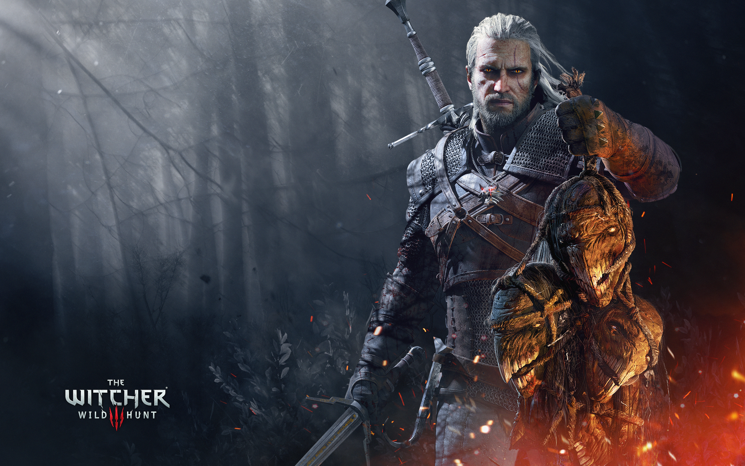 The Witcher Wild Hunt HD Wallpaper And Background