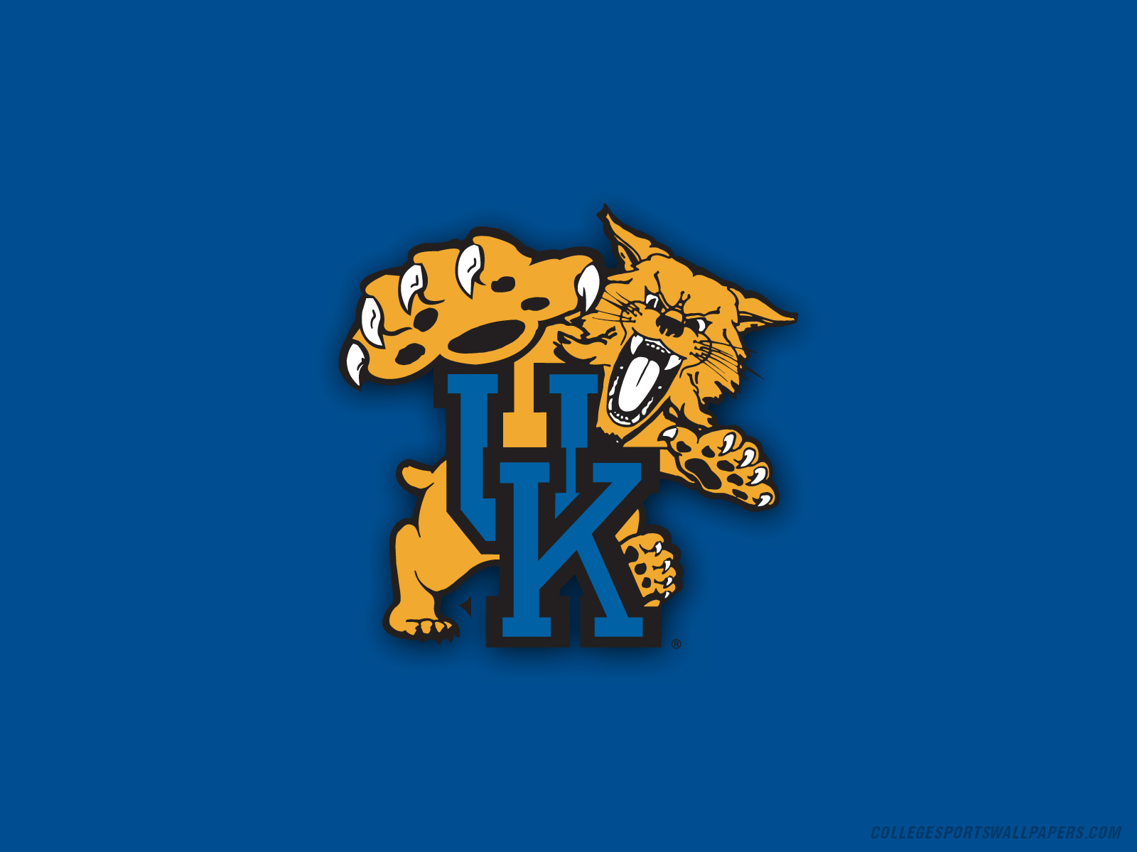 Wildcats Kentucky Basketball Wallpaper