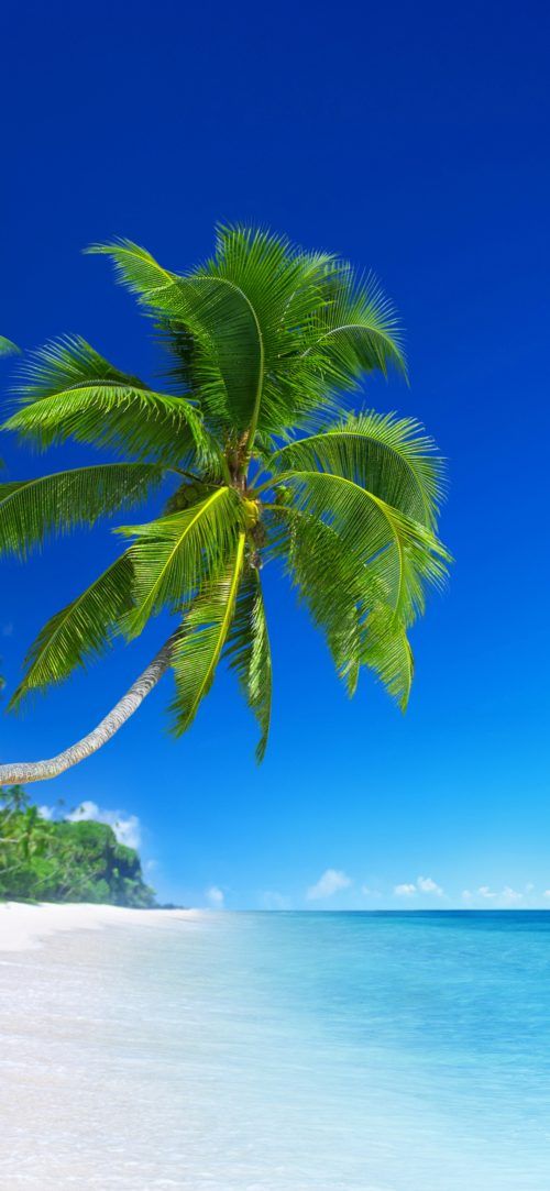 Beach Wallpaper For Phone With Picture Of Beautiful Tropical