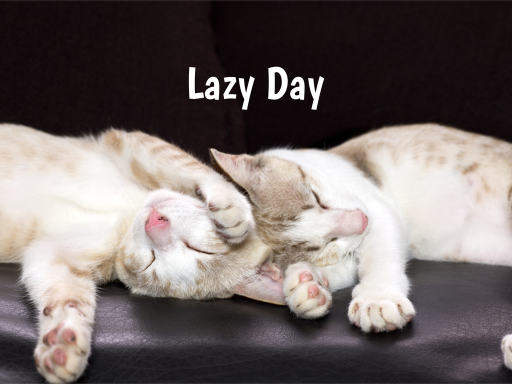Free Download Lazy Day In 20202021 When Where Why How Is Celebrated [1024x768] For Your Desktop