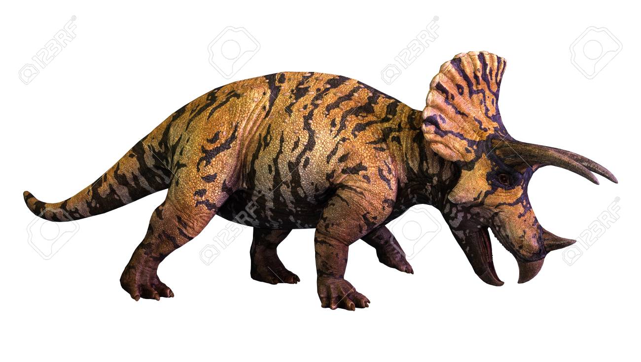 3d Rendering Of A Dinosaur Triceratops Isolated On White