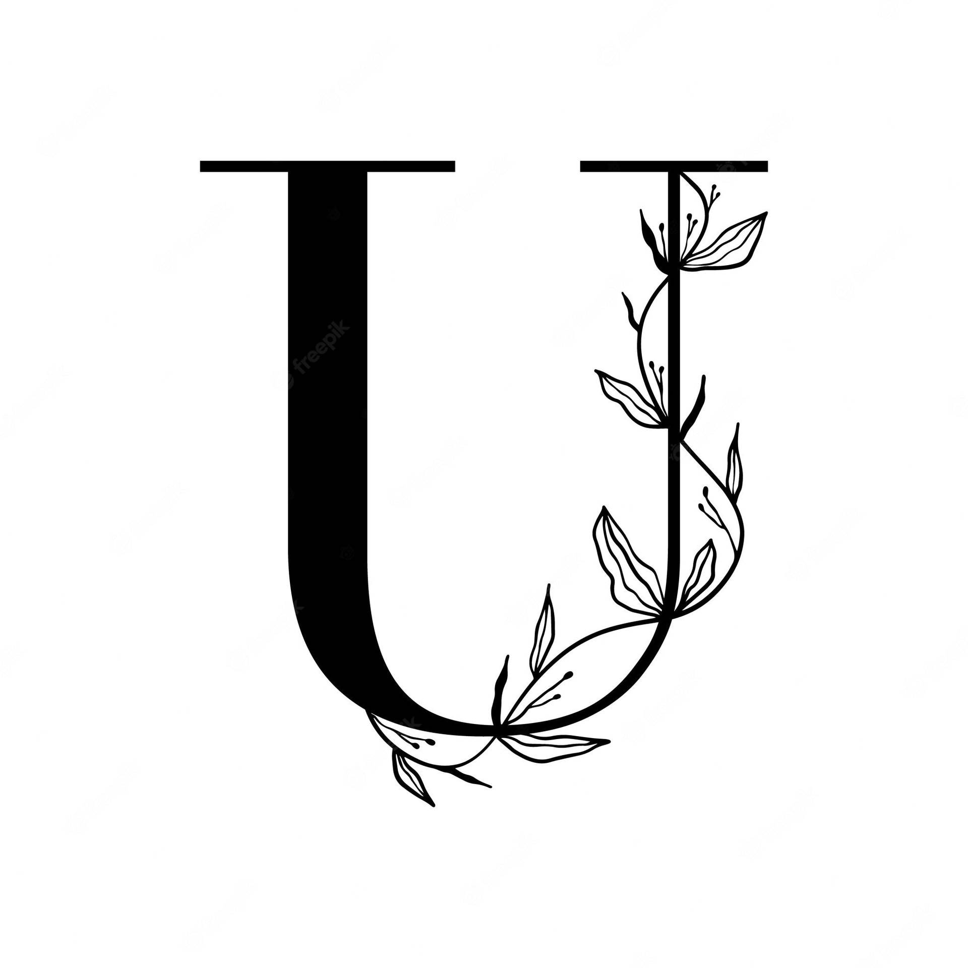 Top Letter U Wallpaper Full HD 4k To Use