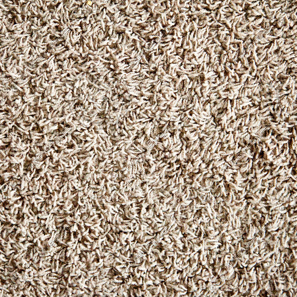 Texture Jpg Carpet Shag Rug
