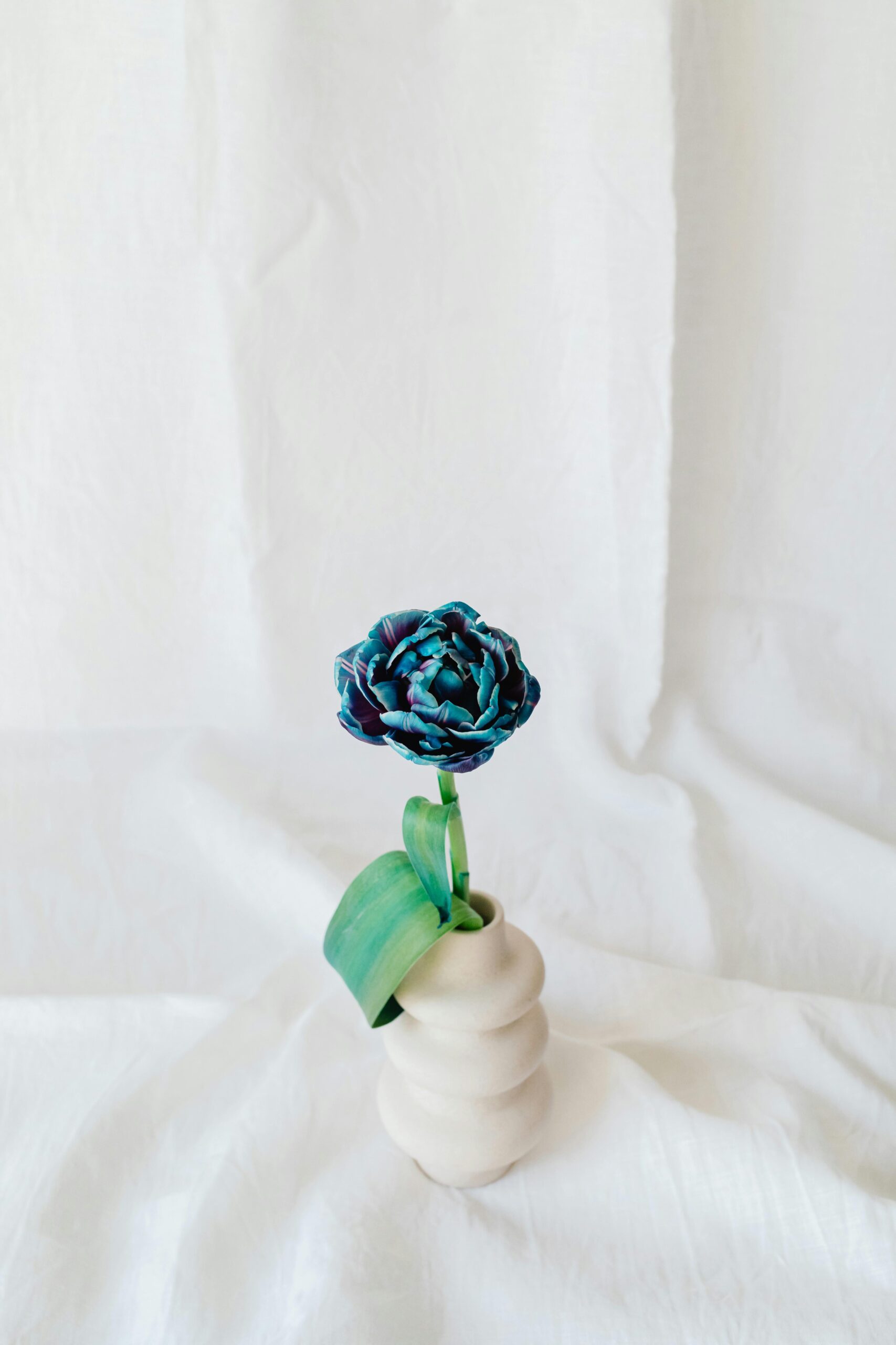 Blue Flower Wallpaper That Ll Add Tranquility To Your Screen