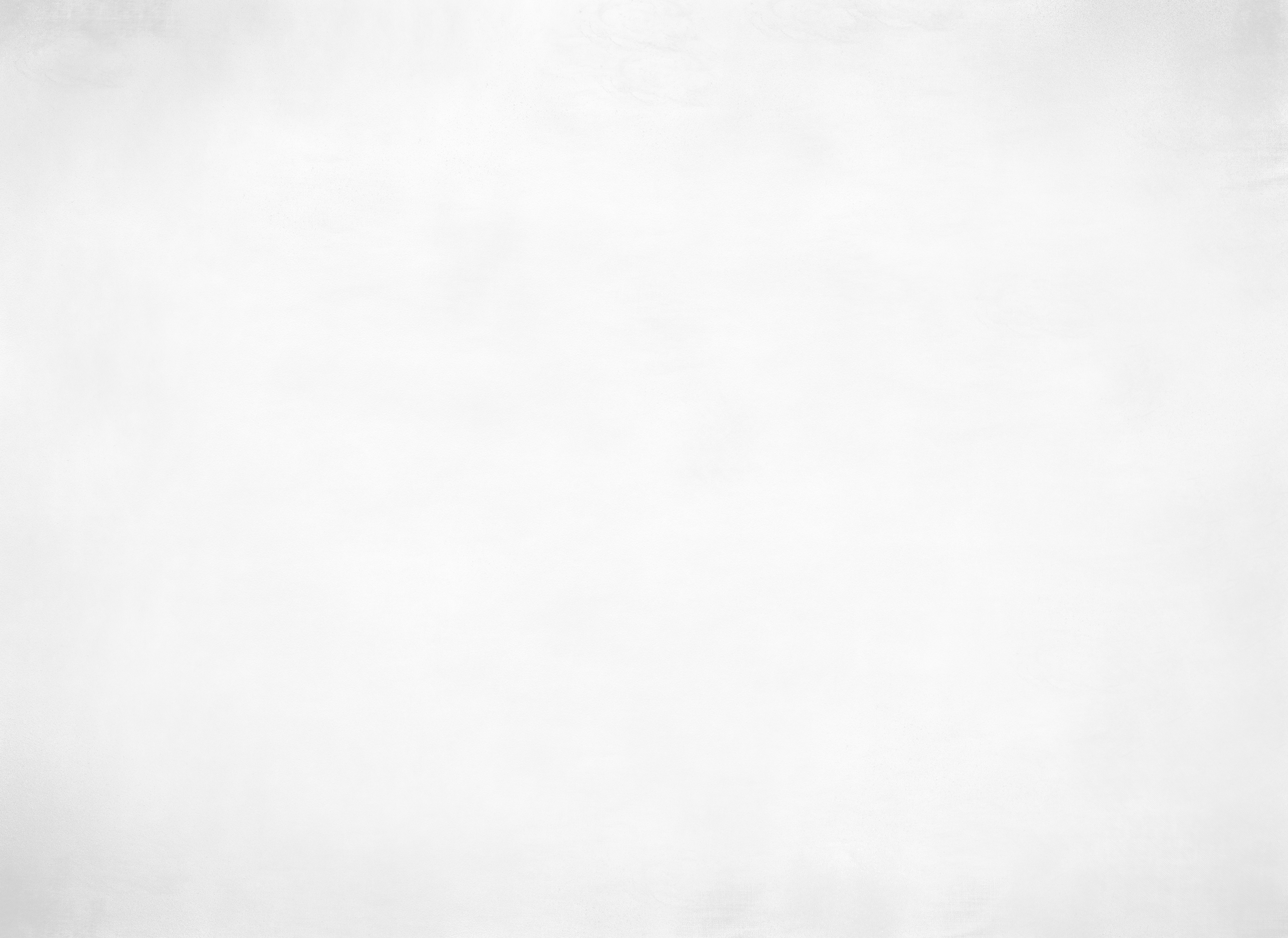 Abstract White Grey Background Or Texture Y Creative Group