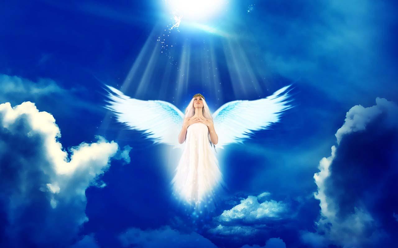30 Angel wallpapers HD  Download Free backgrounds