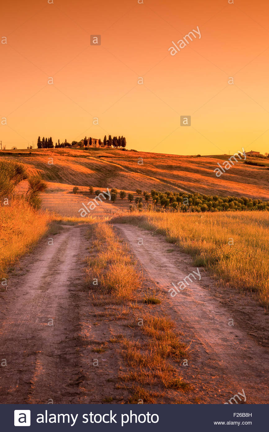 Tuscan Country Road And Olive Field In The Background Stock Photo