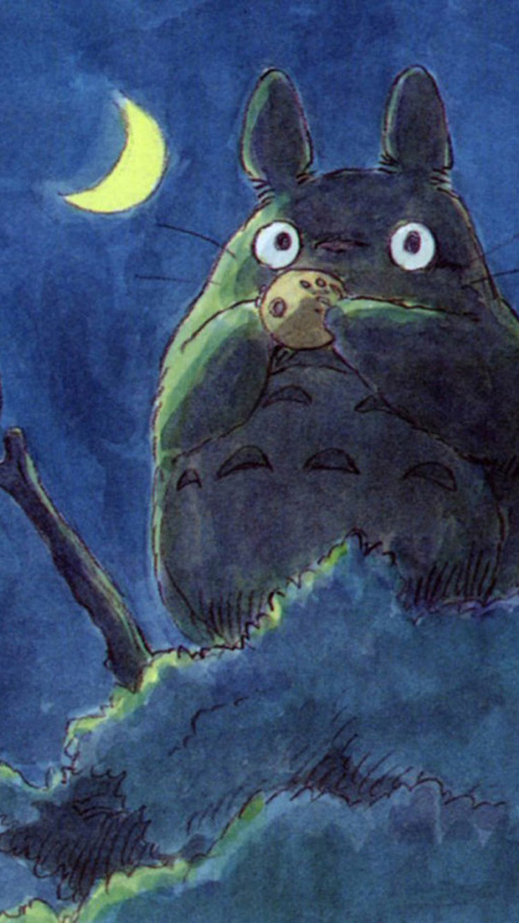 Totoro Hayao Miyazaki iPhone Wallpaper Background