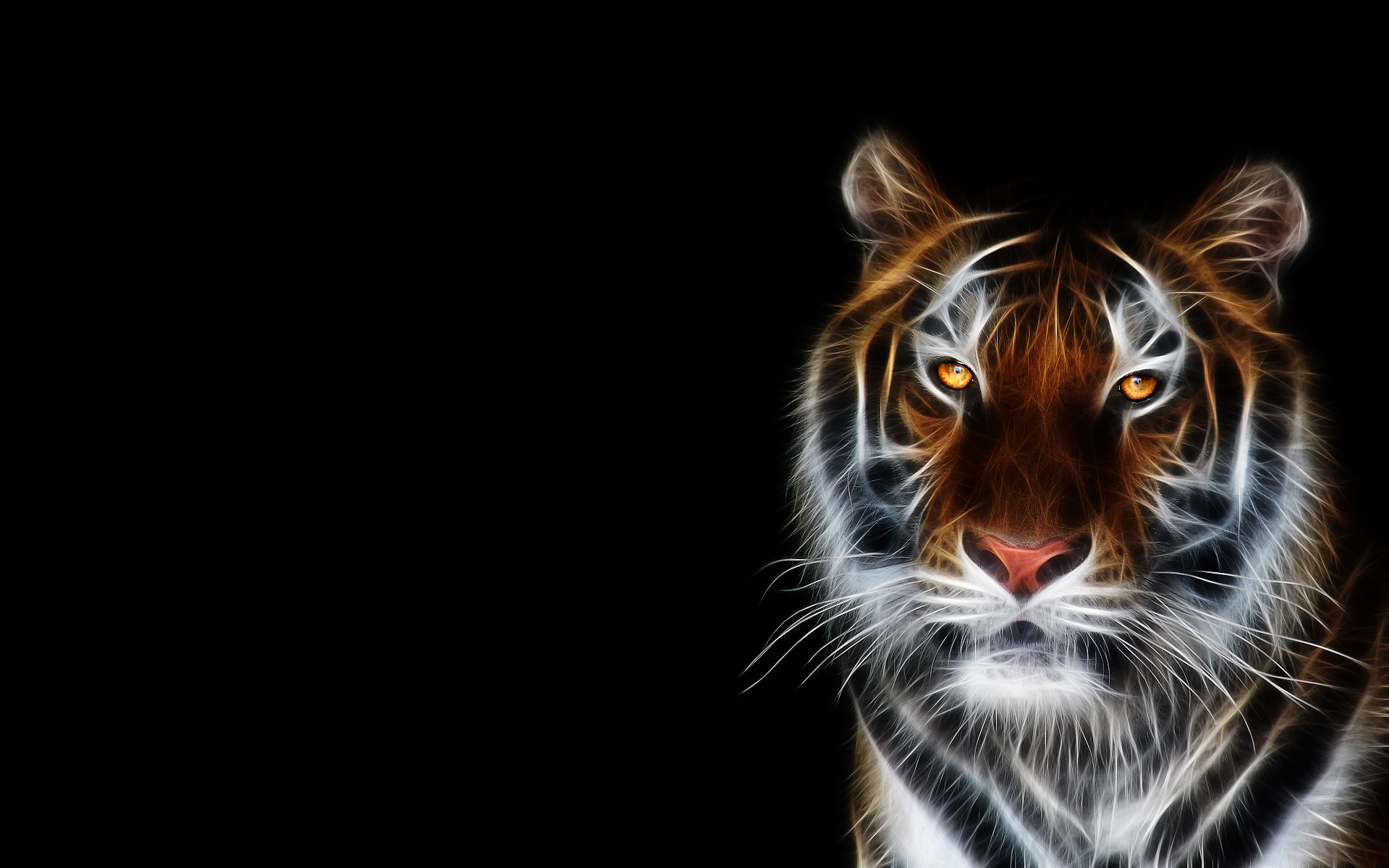 Black Tiger 3d Wallpaper Download Image Num 46