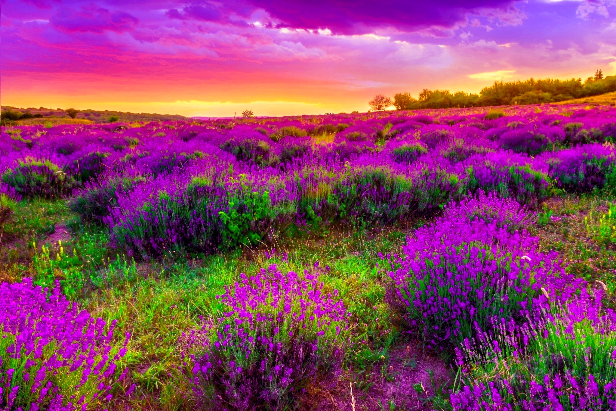 Beautiful Spring Landscape Widescreen Wallpapers