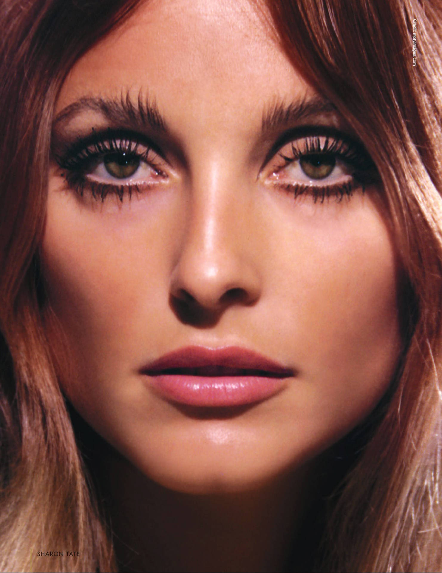 Sharon Tate Beautiful Close Wallpaper