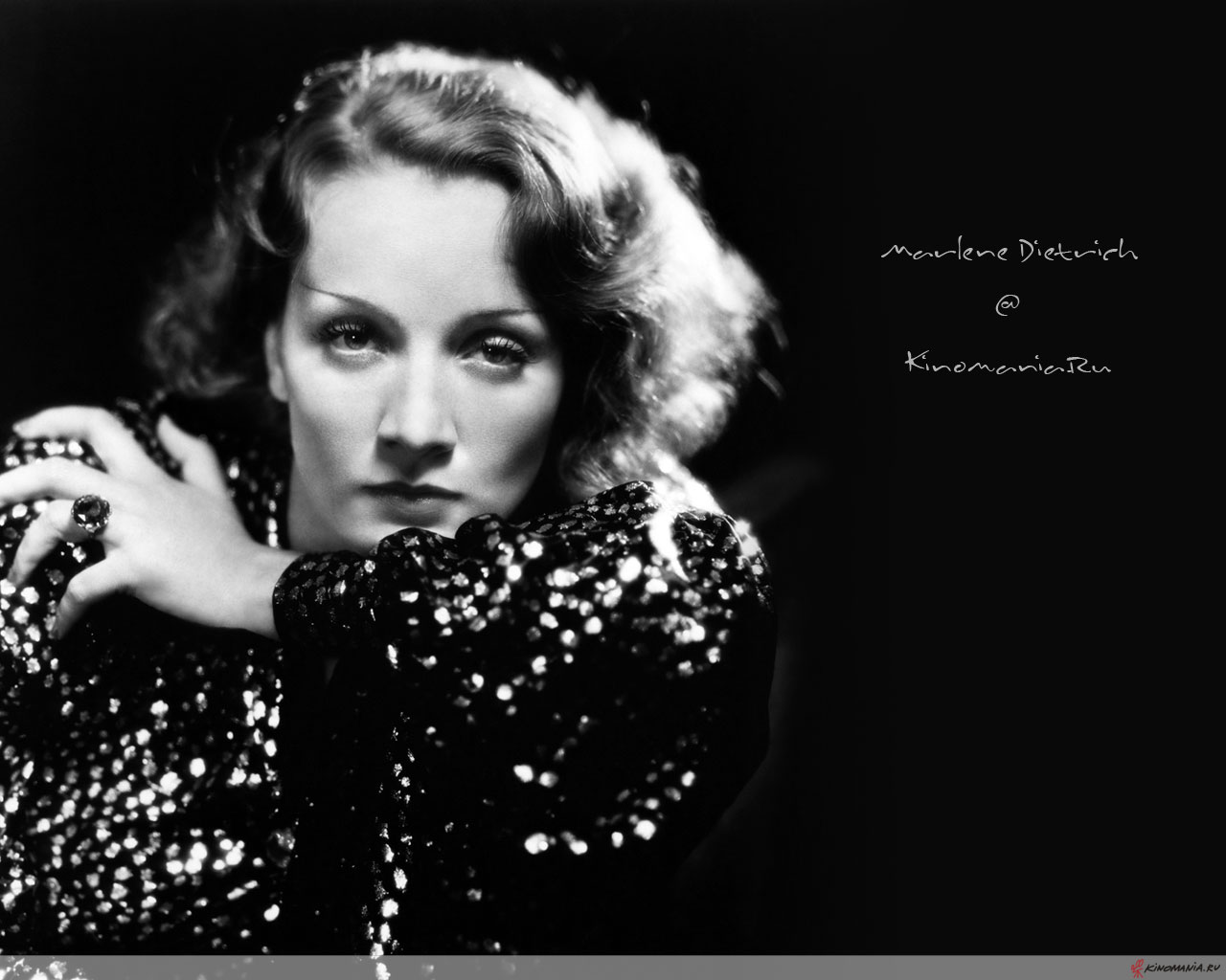 Marlene Dietrich Wallpaper X