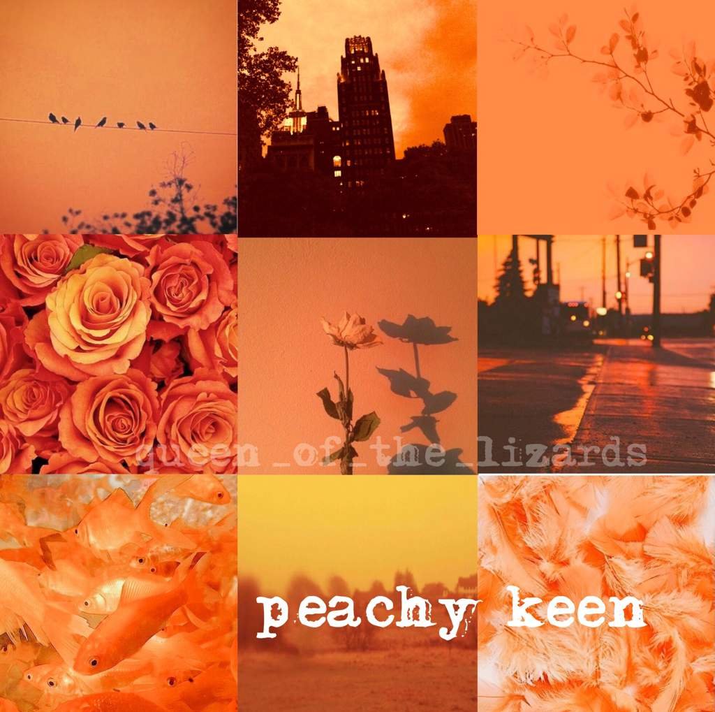 Orange Peach Aesthetic Wallpaper