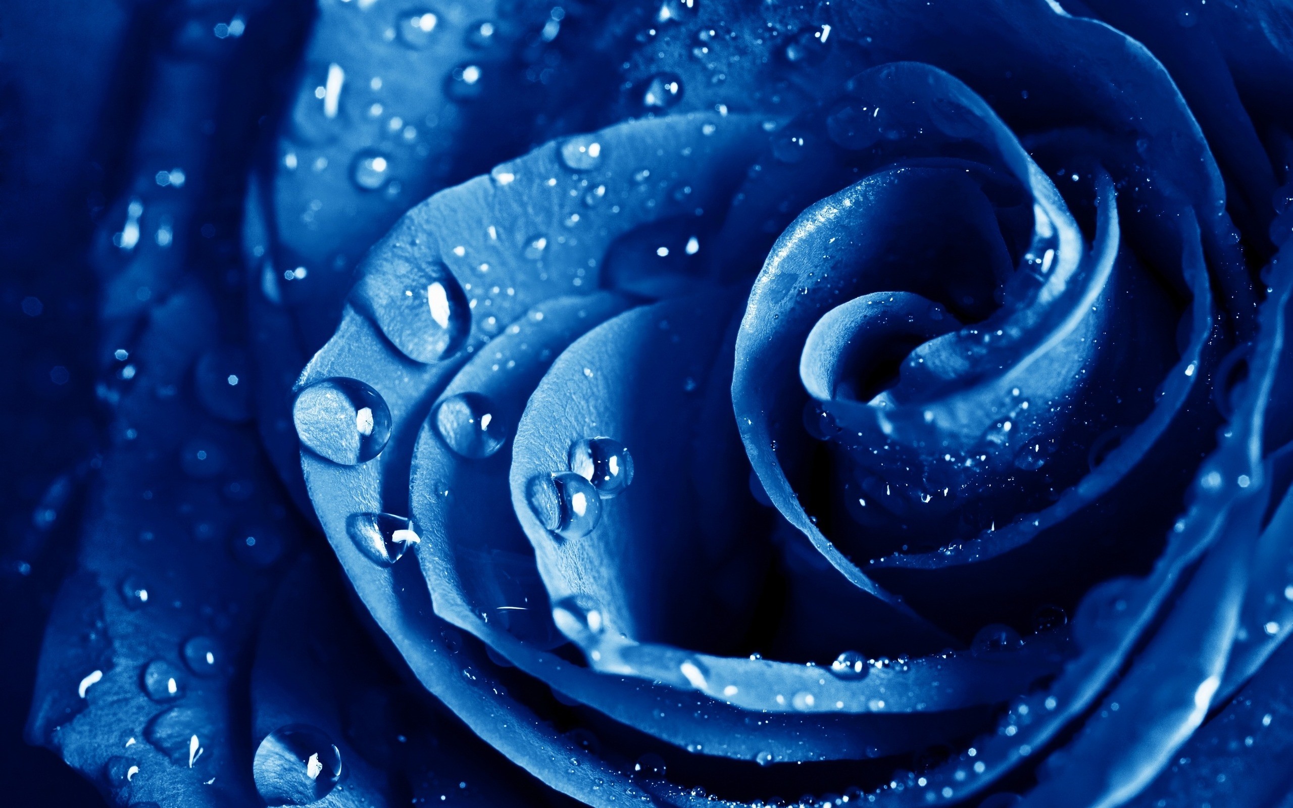 Blue Water Drops Wallpaper