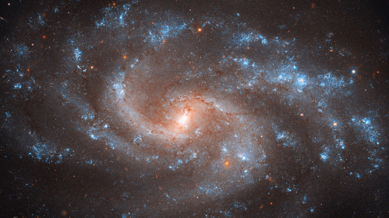 Galaxy Spiral Wallpaper Galaxies