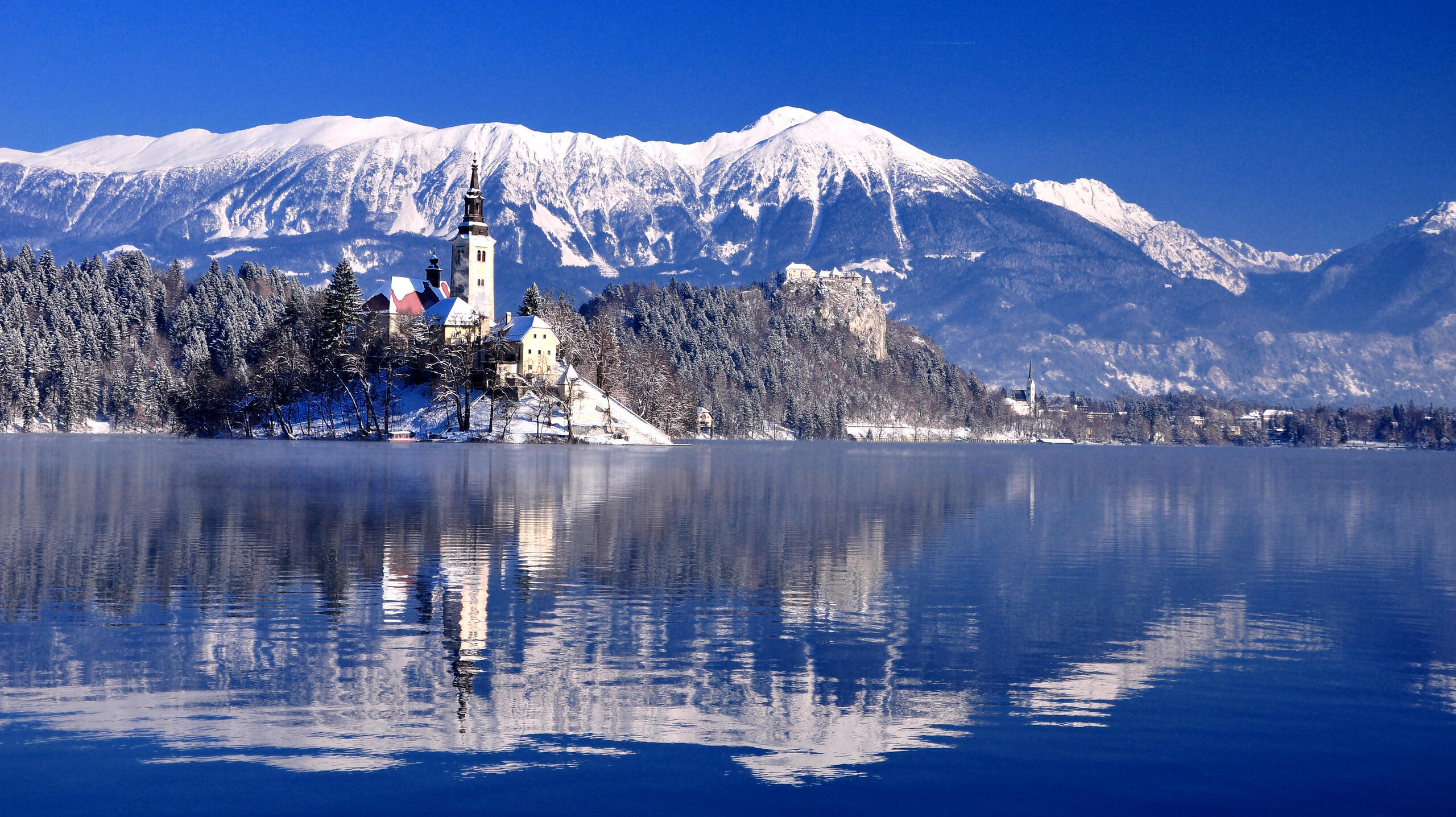 Wallpaper Lake Landscapes Bled Island QHD WqHD From