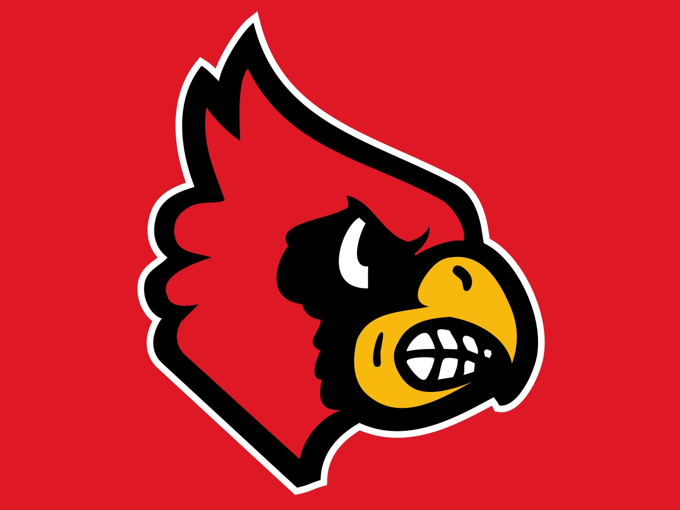 Louisville Cardinals Kb