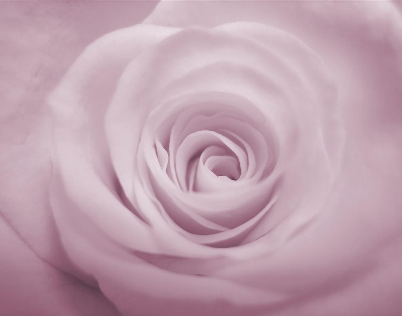 Neat Background