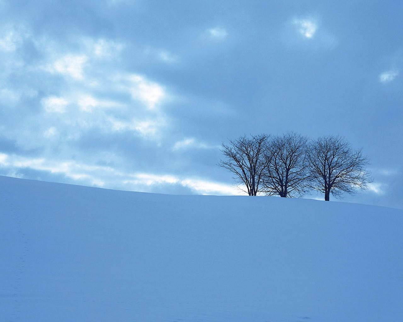 Snow Trees Wallpaper HD In Nature Imageci