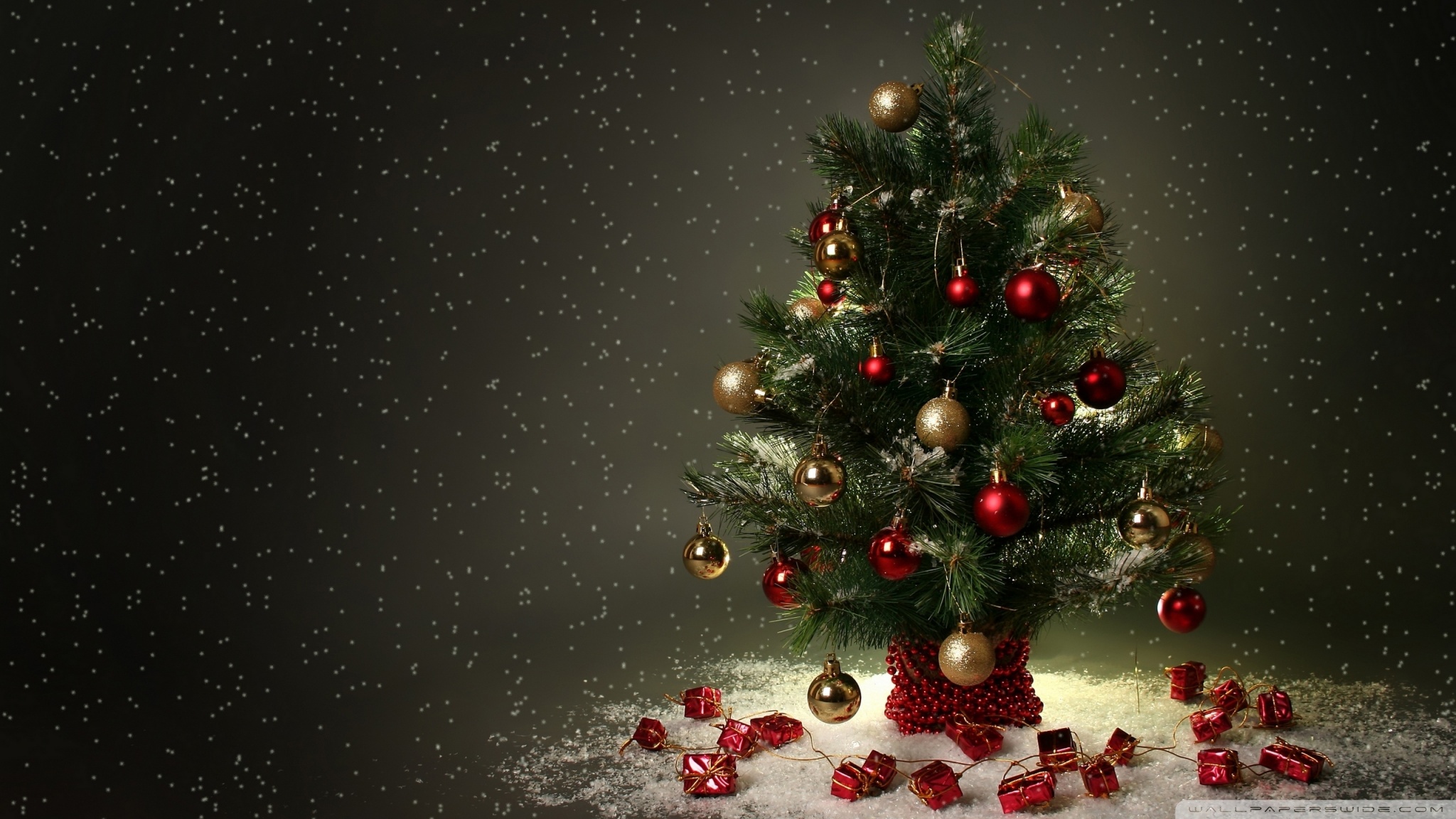 Small Christmas Tree 4k HD Desktop Wallpaper For Ultra Tv