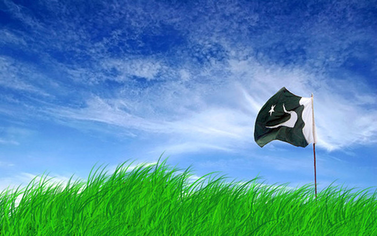 Flag Pictures Pakistan Pak In High